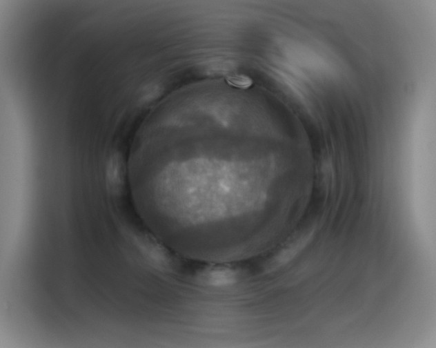 X0000114620228200910201139