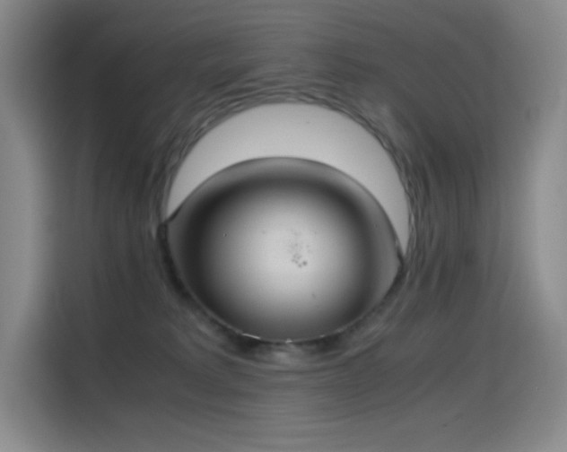 X0000114620229200910201139