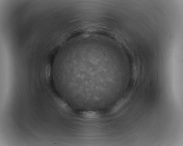 X0000114620230200910201139