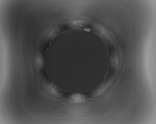 X0000114620231200910201139