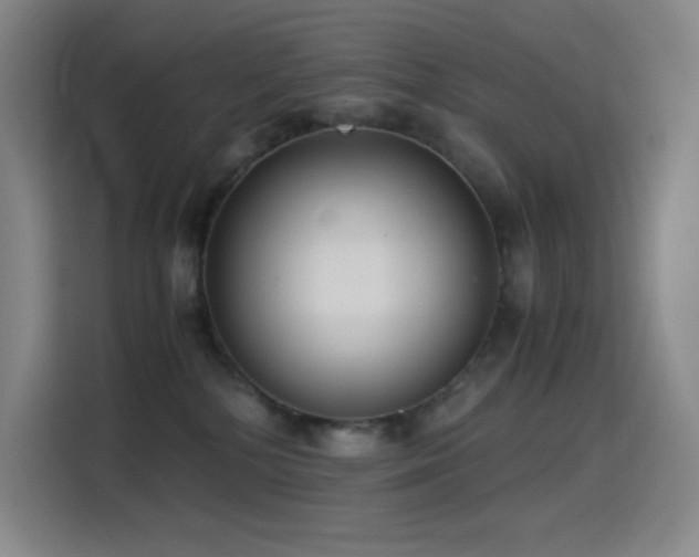 X0000114620232200910201139