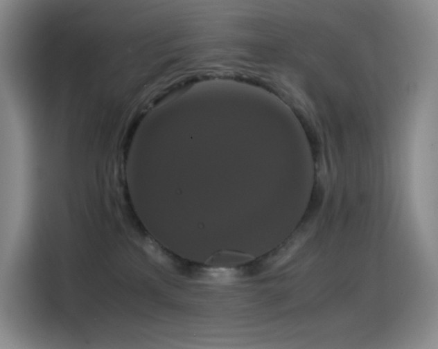 X0000114620233200910201139