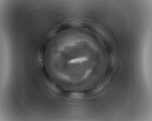 X0000114620234200910201139