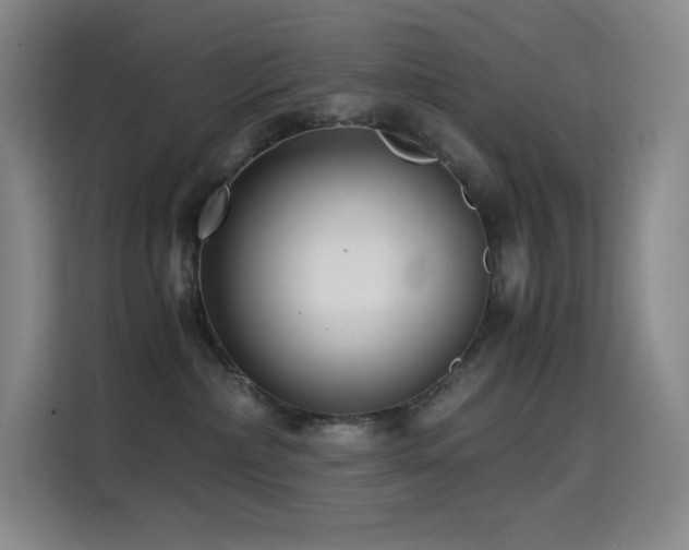 X0000114620236200910201139