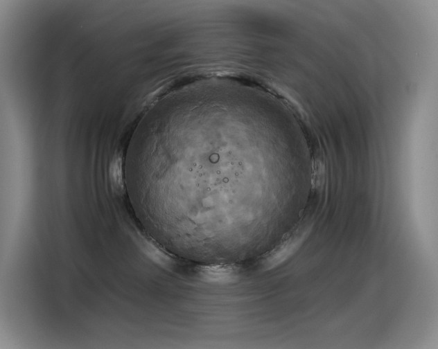 X0000114620238200910201139