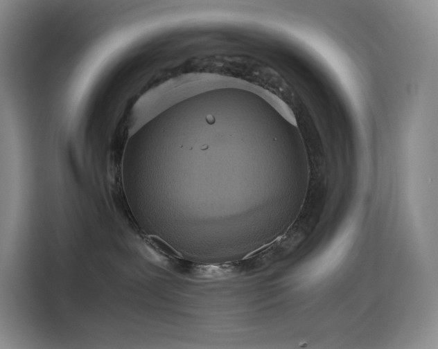 X0000114620239200910201139