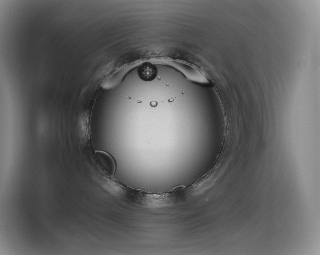 X0000114620240200910201139