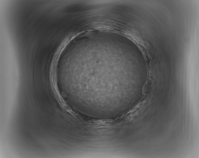 X0000114620241200910201138