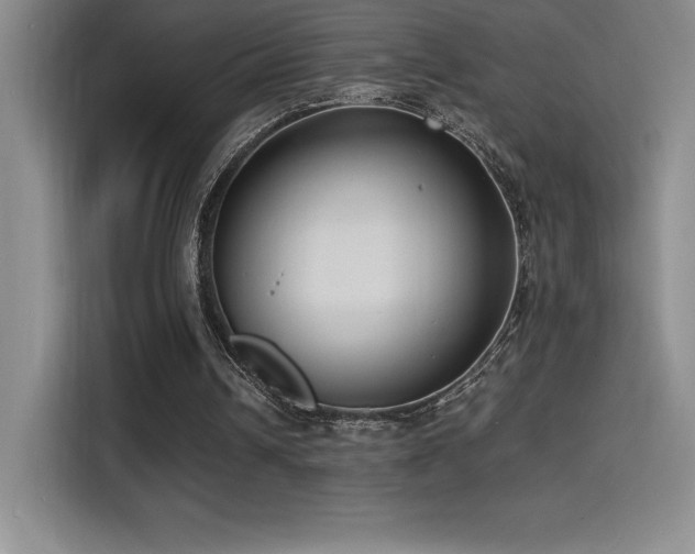 X0000114620242200910201138