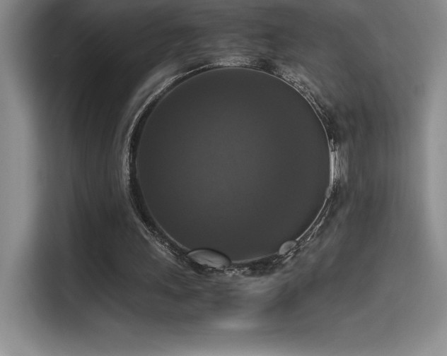 X0000114620243200910201138