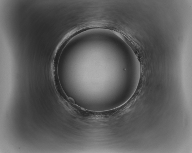 X0000114620244200910201138