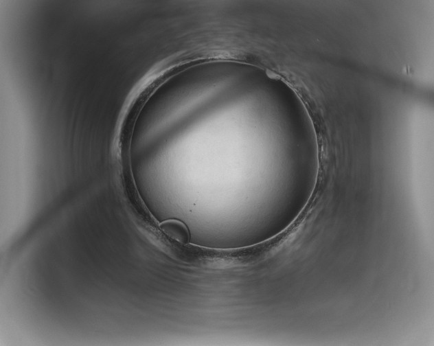 X0000114620246200910201138