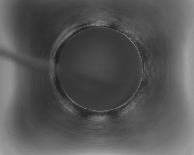 X0000114620247200910201138