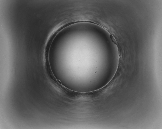 X0000114620248200910201138