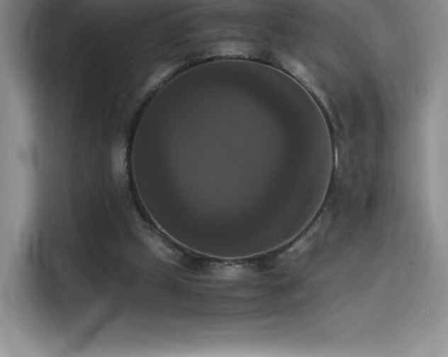 X0000114620249200910201138