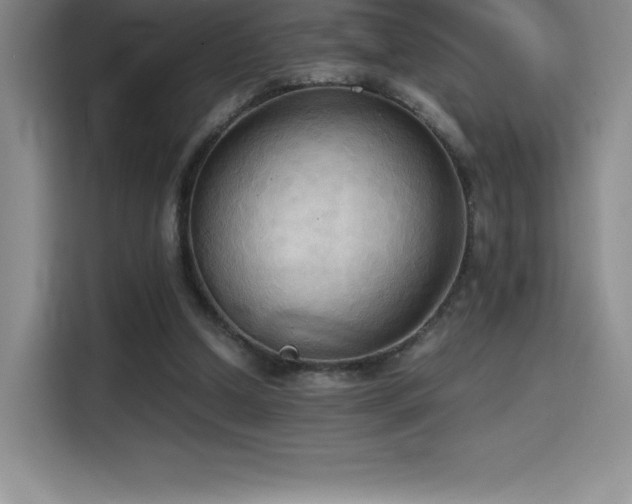 X0000114620250200910201138