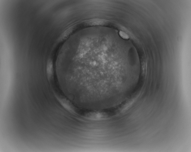 X0000114620254200910201138