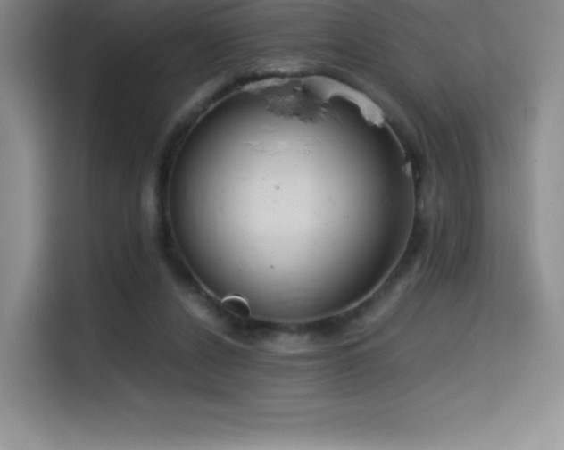 X0000114620256200910201138