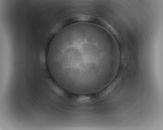 X0000114620257200910201138