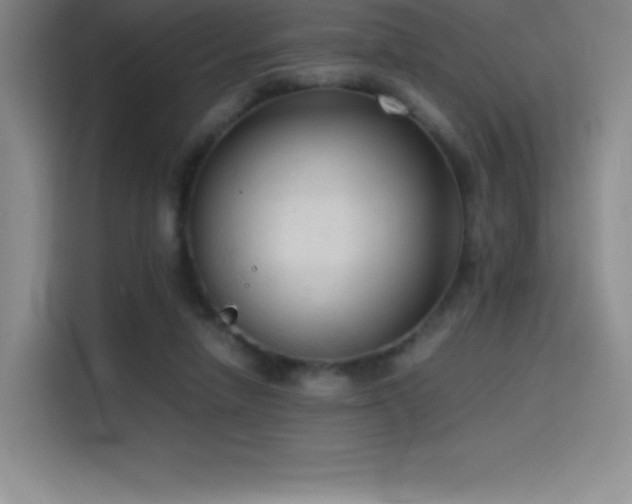 X0000114620258200910201138