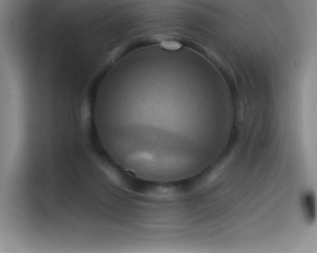 X0000114620260200910201138