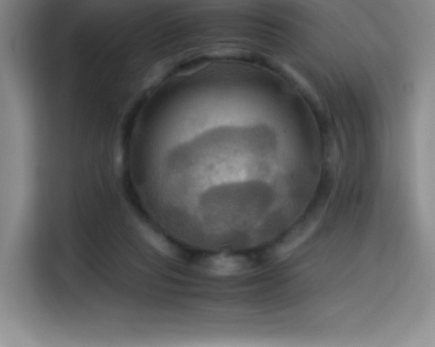 X0000114620261200910201138
