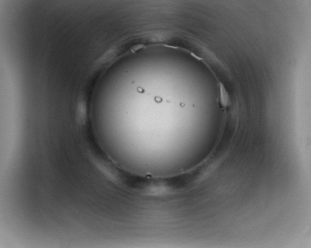 X0000114620262200910201138