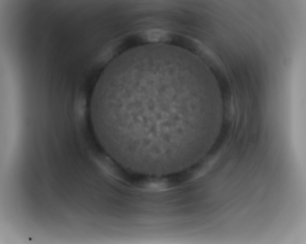 X0000114620263200910201138