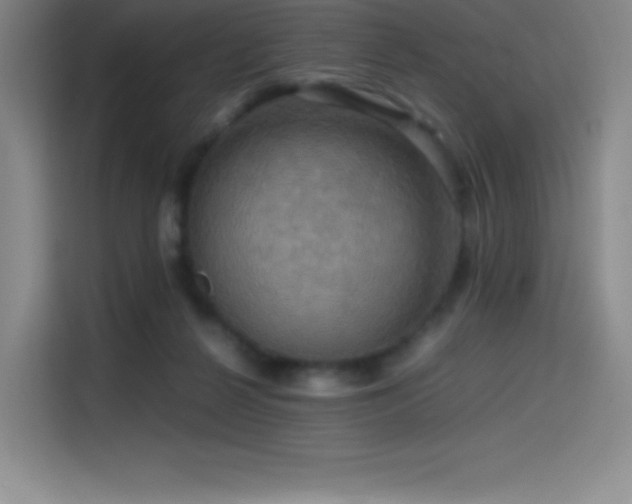 X0000114620264200910201138