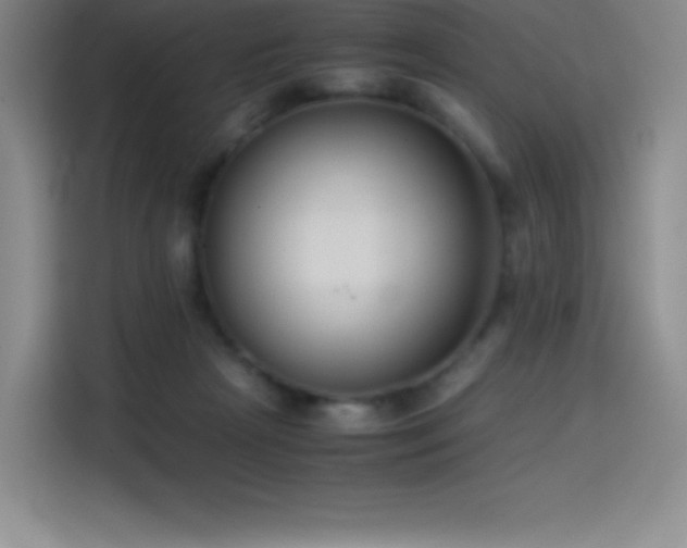 X0000114620265200910201138