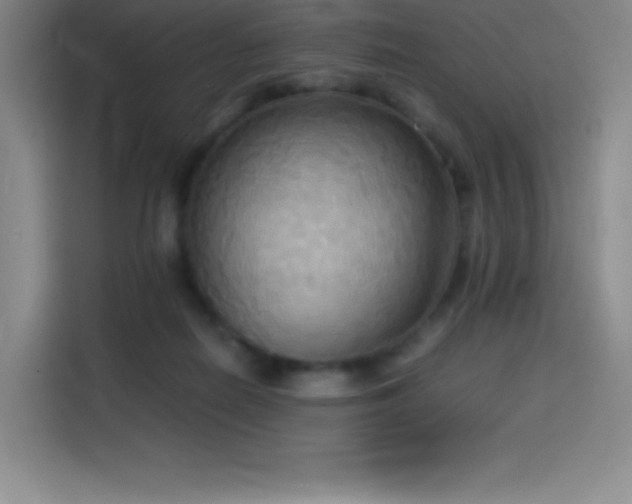 X0000114620266200910201138