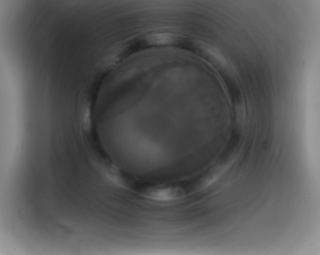 X0000114620267200910201138