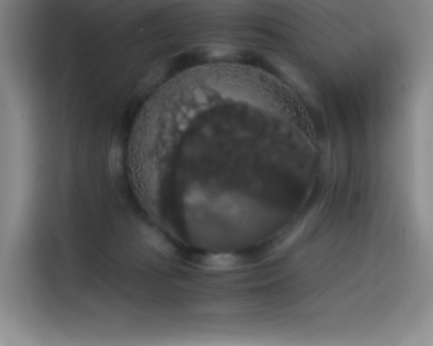 X0000114620269200910201138