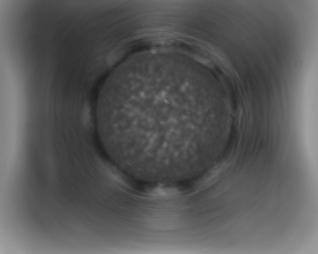 X0000114620270200910201138