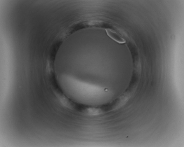 X0000114620272200910201138