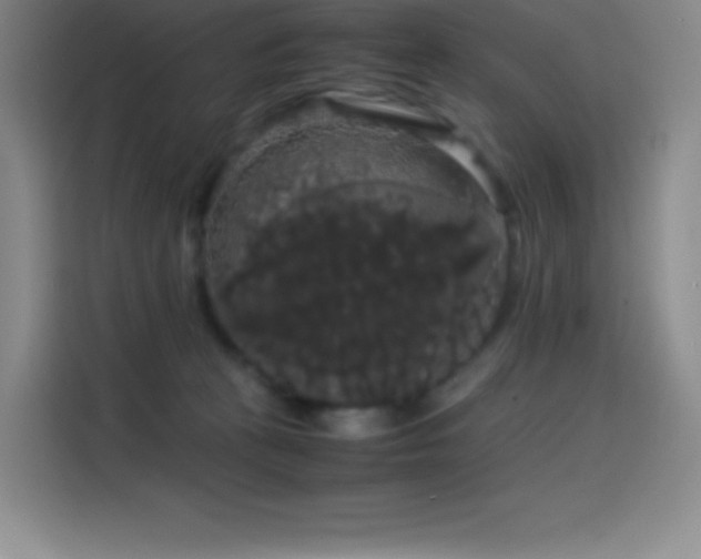 X0000114620273200910201138
