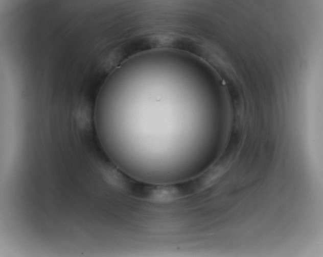 X0000114620274200910201138
