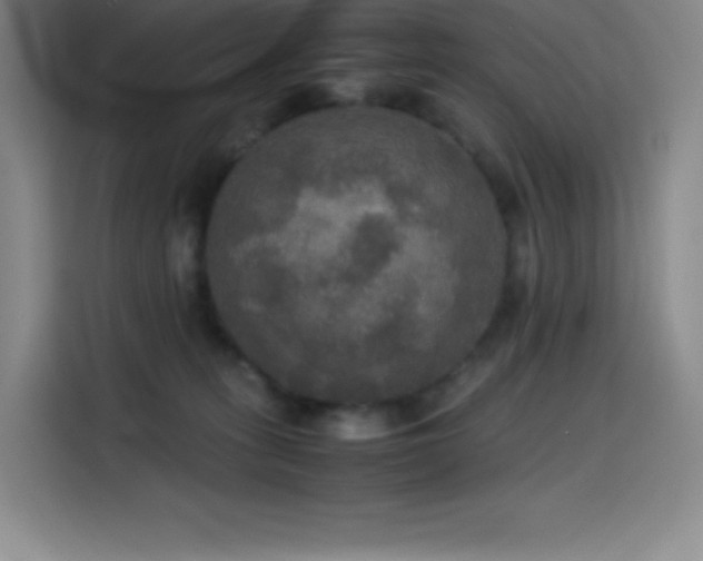 X0000114620275200910201138