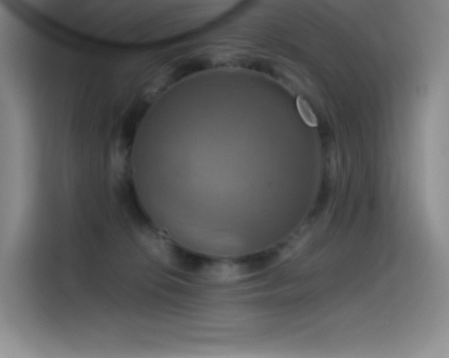 X0000114620276200910201138