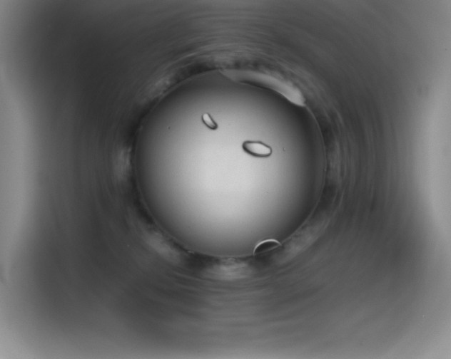 X0000114620278200910201138