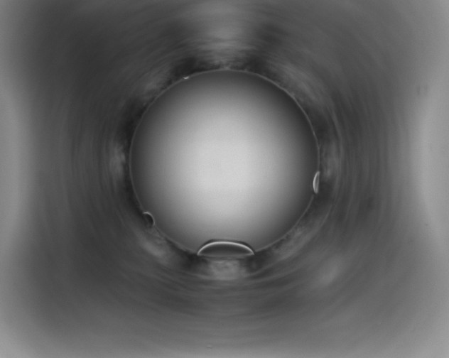 X0000114620279200910201138