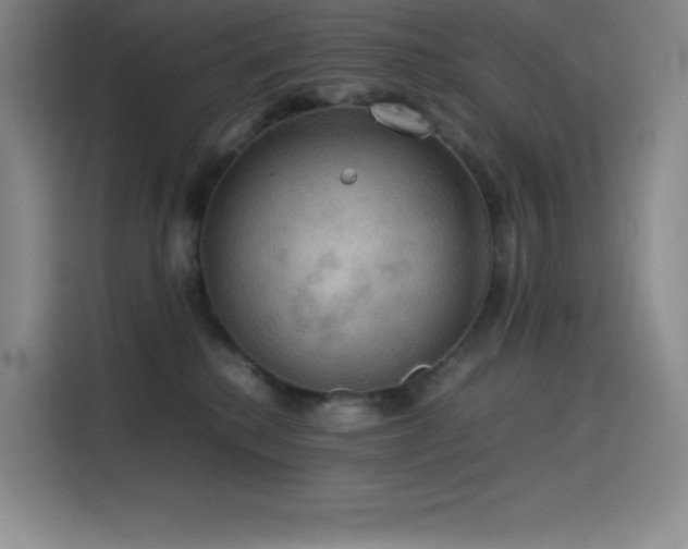 X0000114620280200910201138