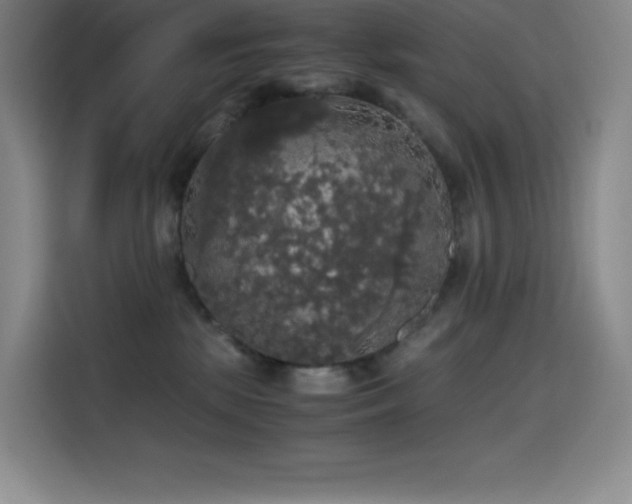 X0000114620281200910201138