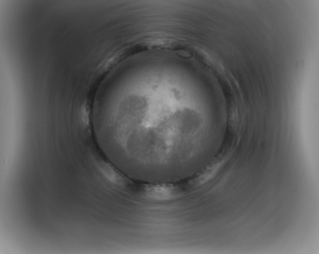 X0000114620282200910201138