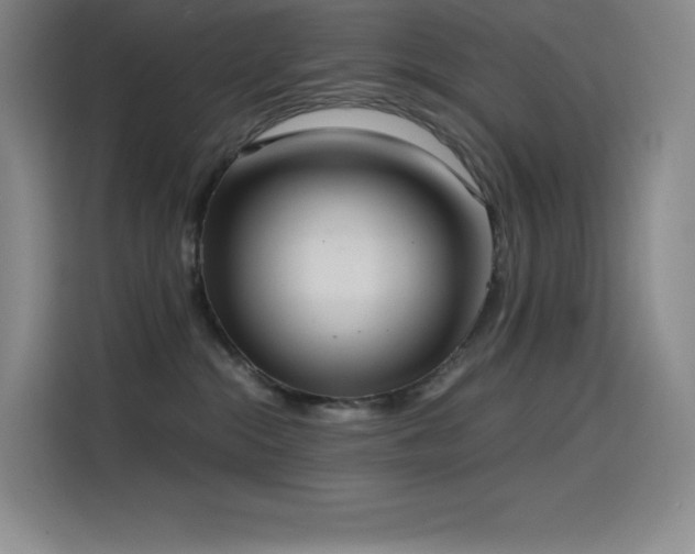 X0000114620284200910201139