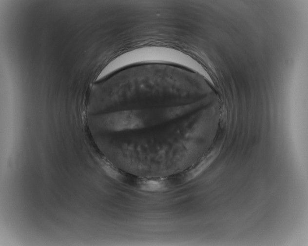 X0000114620285200910201139