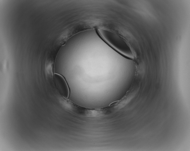 X0000114620286200910201139