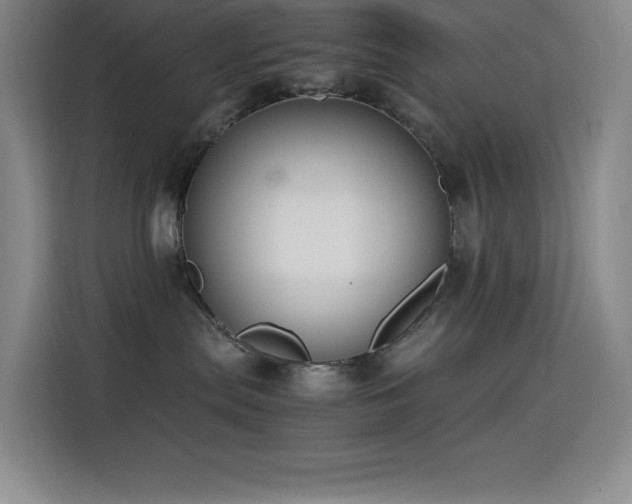 X0000114620287200910201139
