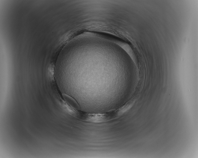 X0000114620288200910201139