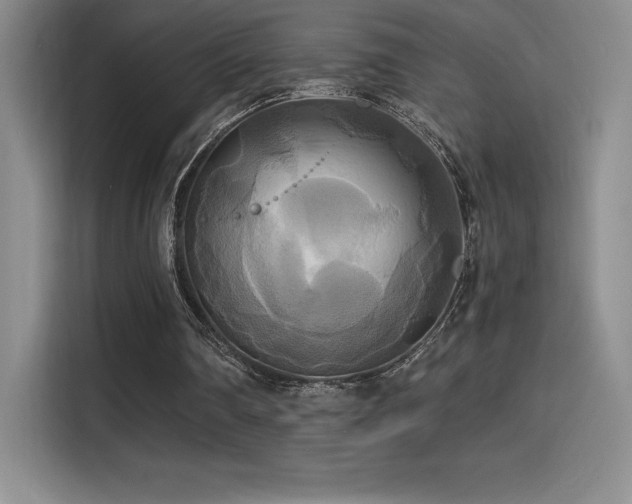 X0000114620290200910201138